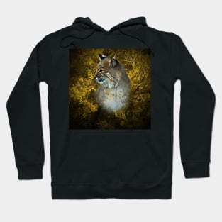 Bobcat portrait Hoodie